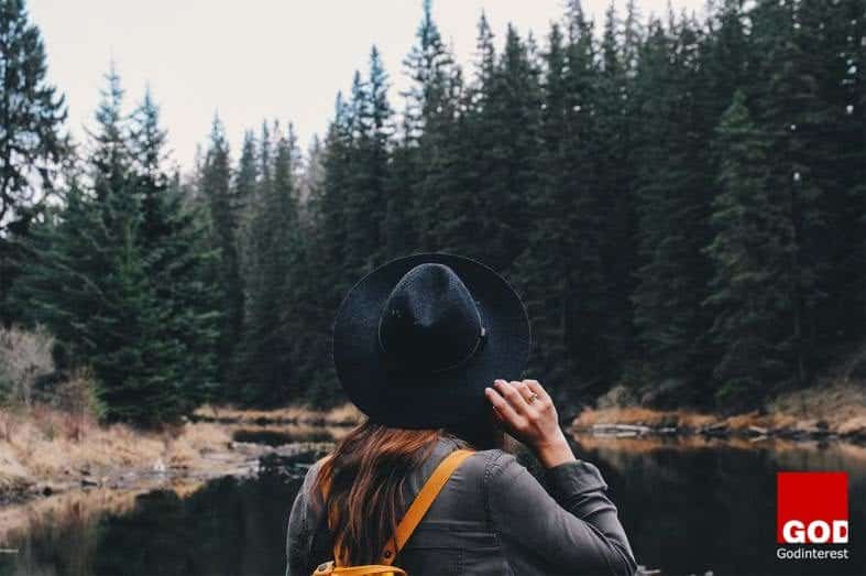 An Unexpected Journey