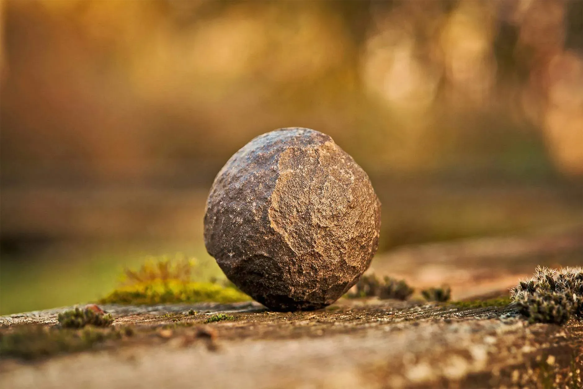 Throw Away Your Stone 